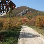 Oak Tree - Toelgy Lak Es Szauna