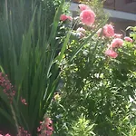 Oak Tree - Toelgy Lak Es Szauna 아파트 *